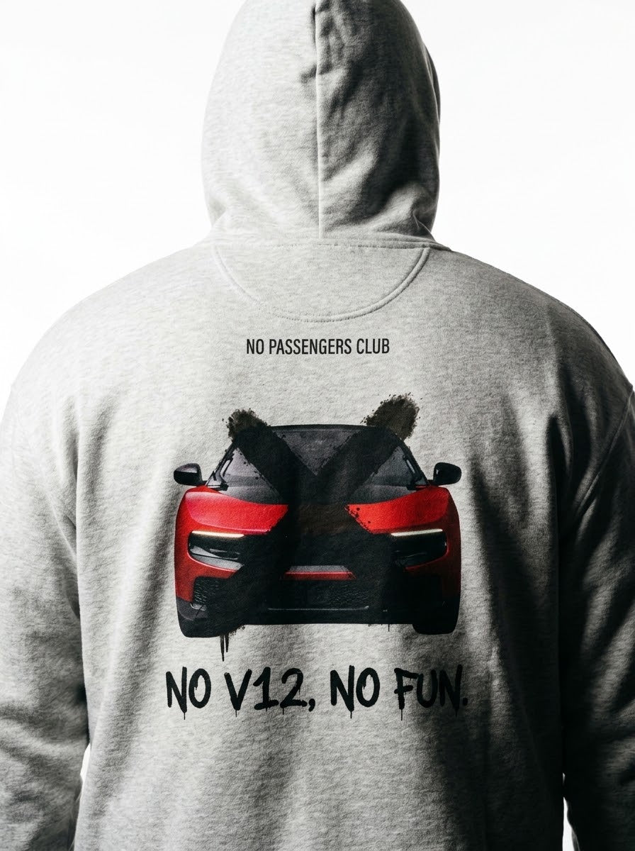 LUCE NO FUN™ Relaxed Grey Hoodie